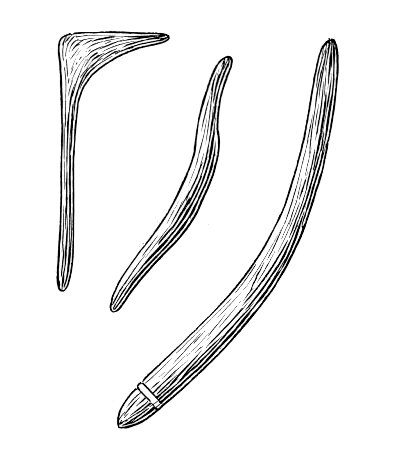 A returning boomerang — two wings on one stick, twisted a few degrees like a propeller